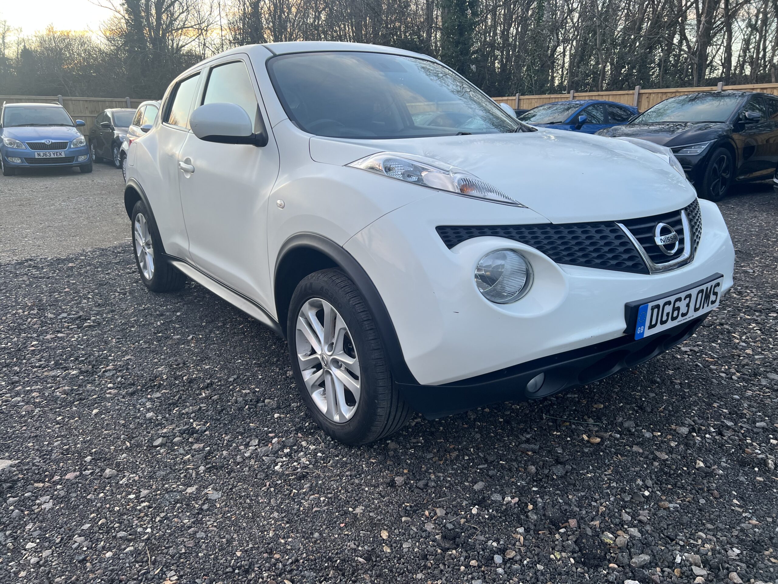 NISSAN JUKE 2013