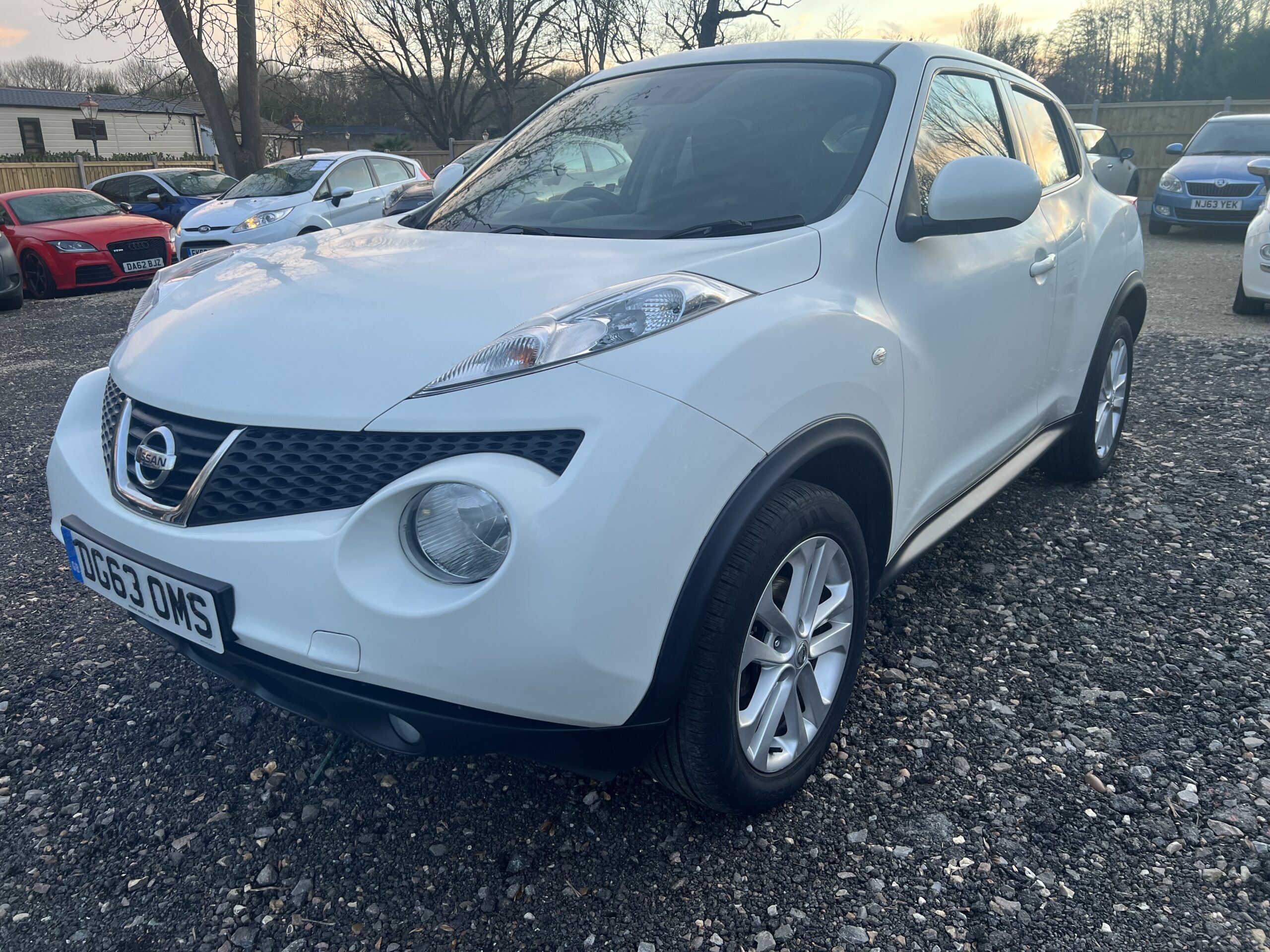 NISSAN JUKE 2013